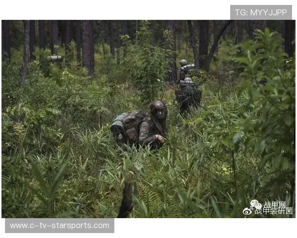 比赛战术分析节目收视率创新高,比赛战术方案 比赛战术分析节目收视率创新高,比赛战术方案