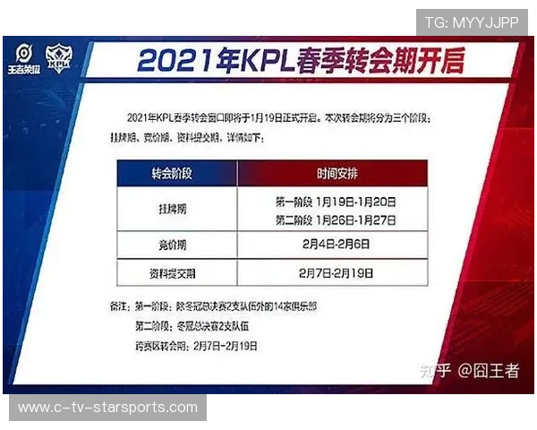 职业选手的转会流程解析与建议方案设计